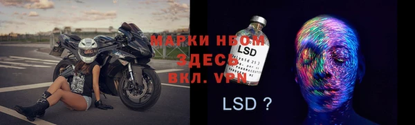 ГАЛЛЮЦИНОГЕННЫЕ ГРИБЫ Абаза