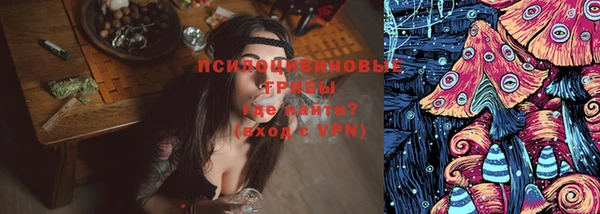 тгк Надым