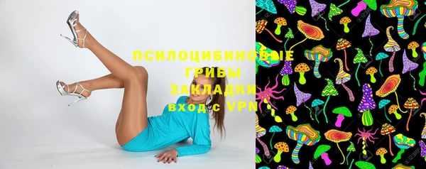 2c-b Абдулино
