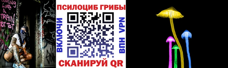 Псилоцибиновые грибы Cubensis  магазин продажи наркотиков  Новосибирск 